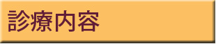 診療内容
